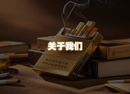 关于蓝帝网